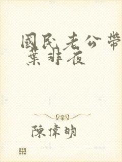 国民老公带回家 叶非夜