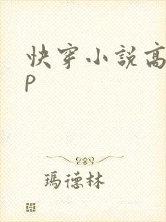 快穿小说高hnp