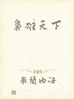 枭雄天下封面