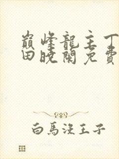 巅峰龙主丁长顺田晓兰免费阅读封面