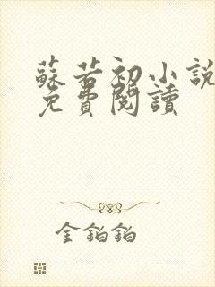苏若初小说全文免费阅读
