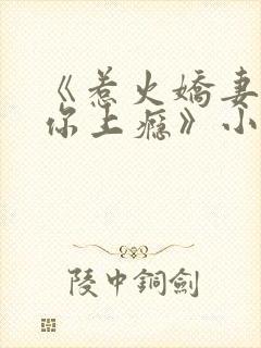 《惹火娇妻,宠你上瘾》小说