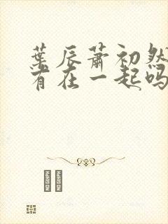 叶辰萧初然最后有在一起吗