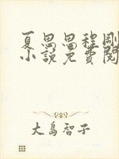夏思思程刚完结小说免费阅读封面