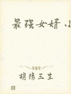 最强女婿 小说