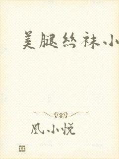 美腿丝袜小说