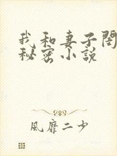 我和妻子闺蜜的秘密小说