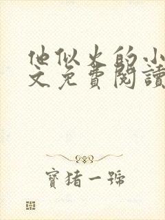 他似火的小说全文免费阅读无弹窗