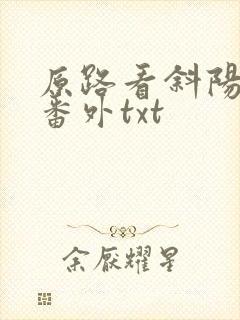 原路看斜阳全文番外txt