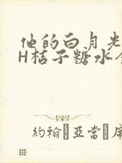 他的白月光HVH桔子糖水全文