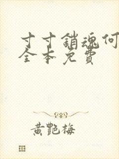 寸寸销魂何生祥全本免费封面
