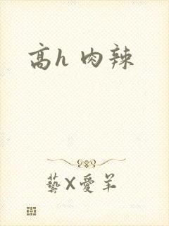 高h 肉辣