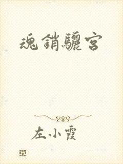 魂销骊宫封面