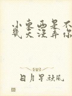 小东西是不是好几天没弄你了封面