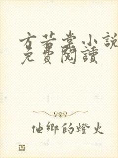 方若棠小说全文免费阅读封面