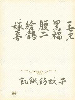嫁给腹黑王爷后喜鹊二福免费阅读