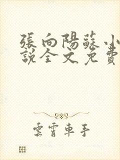 张向阳苏小棠小说全文免费阅读笔趣