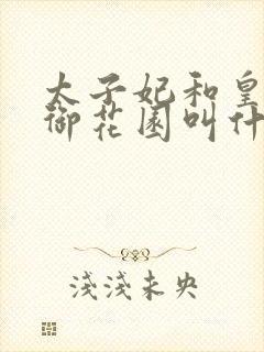 太子妃和皇帝在御花园叫什么小说封面