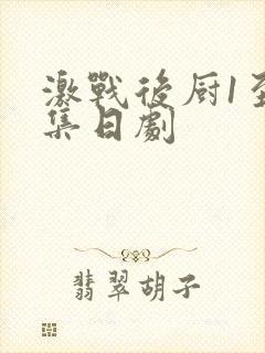 激战后厨1至5集日剧封面