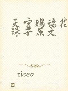 天官赐福花怜塞珠子原文封面