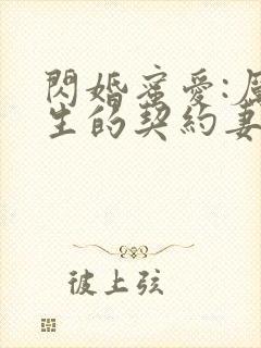 闪婚蜜爱:厉先生的契约妻