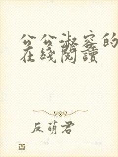 公公淑容的小说在线阅读