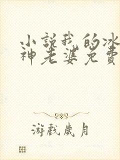 小说我的冰山女神老婆免费阅读