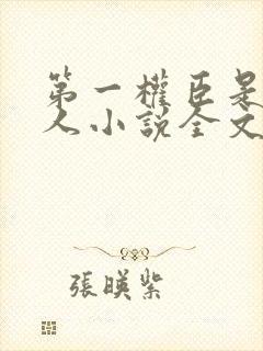 第一权臣是病美人小说全文免费阅读