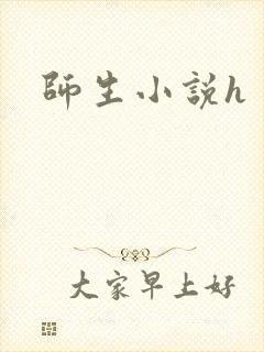 师生小说h封面