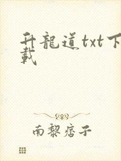 升龙道txt下载