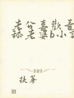 老公喜欢看别人舔老婆b小说封面