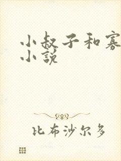 小叔子和寡嫂的小说