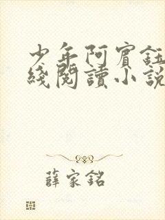 少年阿宾钰慧在线阅读小说txt