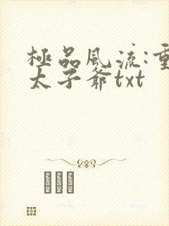 极品风流:重生太子爷txt