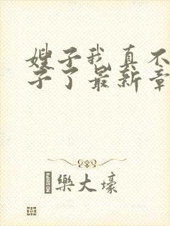 嫂子我真不是傻子了最新章节阅续封面
