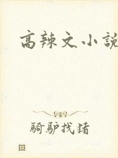 高辣文小说封面
