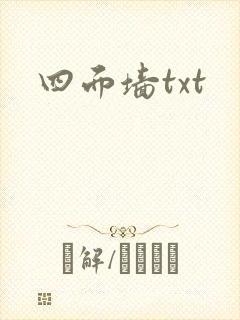 四面墙txt