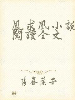 凤求凰小说免费阅读全文