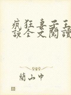 疯狂妻子王慧小说全文阅读