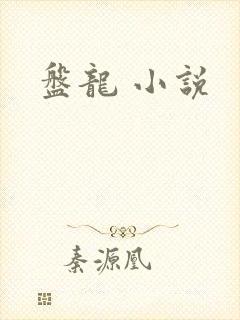 盘龙 小说