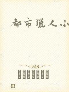 都市猎人小说封面
