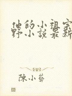 他的小祖宗甜又野小说最新章节