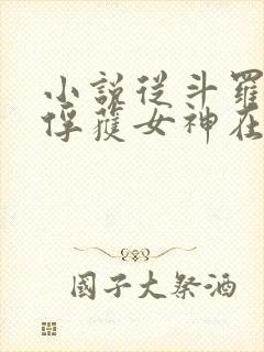 小说从斗罗开始俘获女神在线阅读
