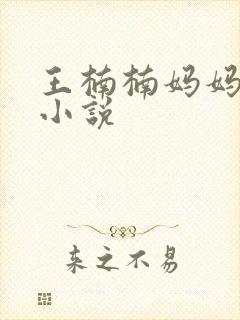 王楠楠妈妈王姨小说