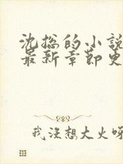 沈总的小说全文最新章节更新
