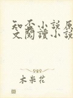 知否小说原著全文阅读小说