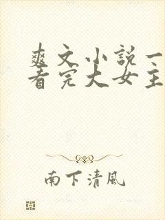爽文小说一口气看完大女主