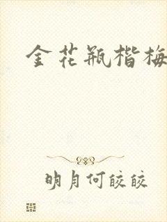 金花瓶楷梅花2封面