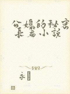 公媳的秘密性事 长篇小说
