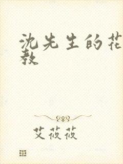 沈先生的花式管教